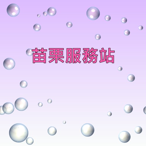 苗栗大同服務站